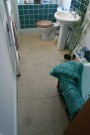 Bathroom, January 2009